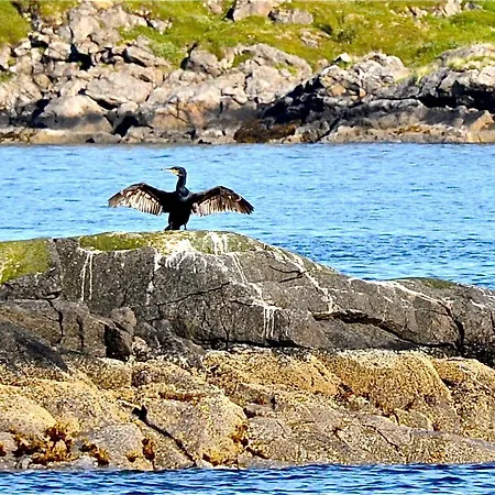 אתר קמפינג Toftenes Sjohuscamping *