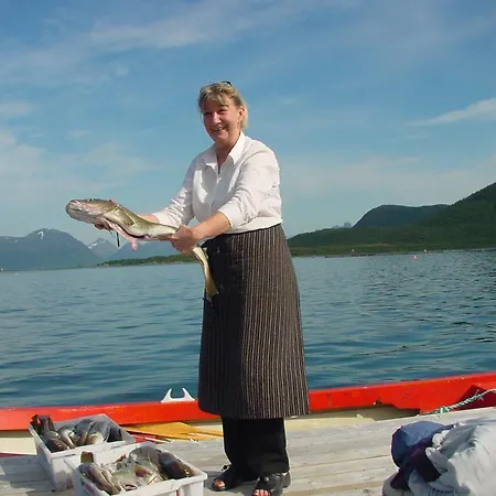 Toftenes Sjohuscamping Alsvåg