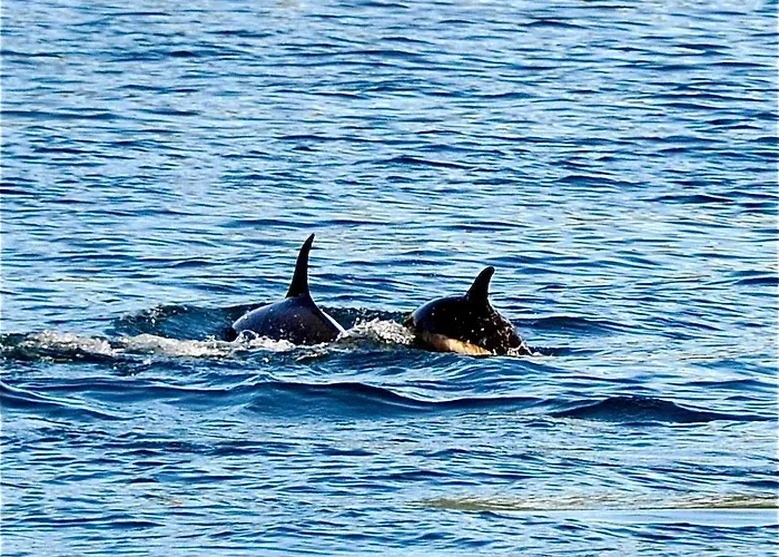 Toftenes Sjohuscamping As